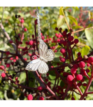 Colgante Alphinia Plata