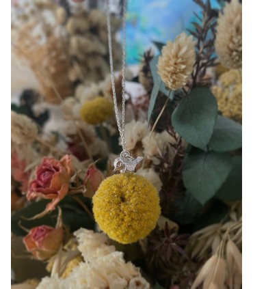 Colgante Robin plata de ley