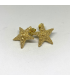 Pendientes Estrella de Mar en plata chapado en oro